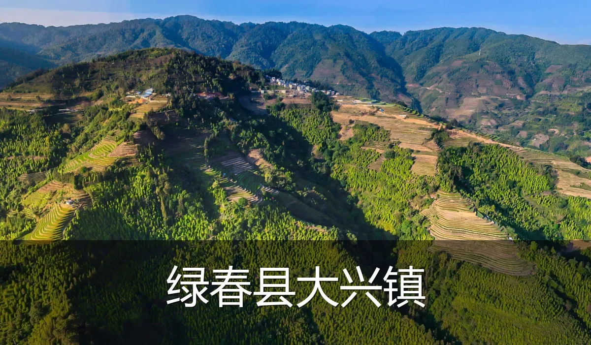 绿春县大兴镇